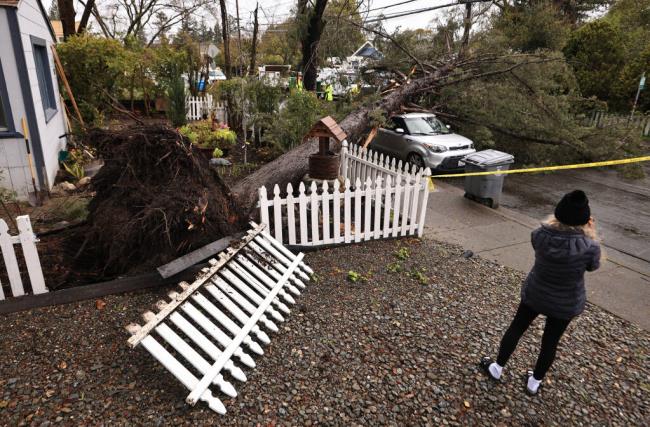 索诺马县遭遇最新的冬季风暴，导致树木倒塌，道路封闭