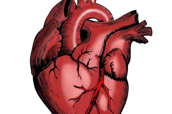 研究发现，RNA生物标记物有一天可能有助于诊断心脏病