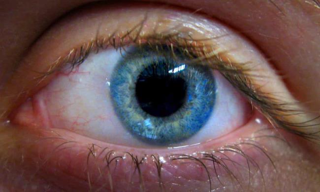 研究发现，眼镜店的3D眼部扫描可以识别出那些有帕金森症风险的人