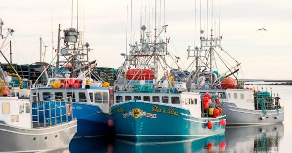 加拿大西南部最大的龙虾渔场在天气延误后开业